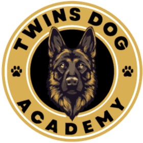 twins dog academy